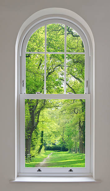 the best window in Madisonville, TN