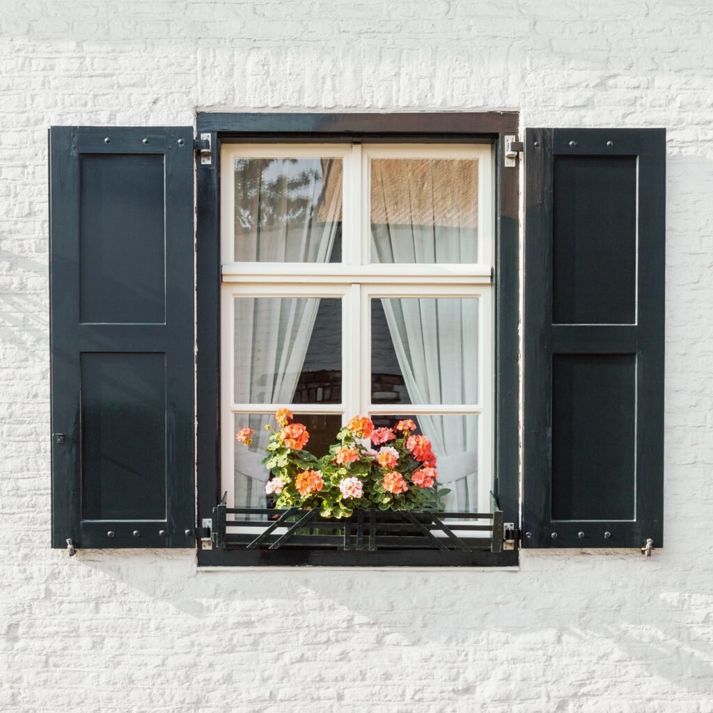 Window on white brick wall closeup with shutters and blooming fl